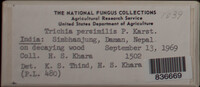Image Associated With the Occurence